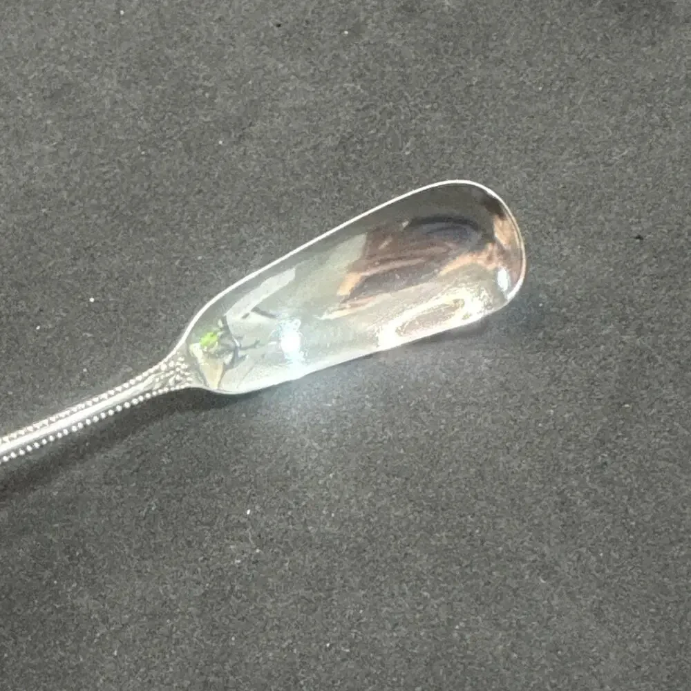 Canterbury by Towle Sterling Silver Horseradish Scoop 6 1/4